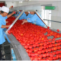 Machine de traitement de la purée de tomates industrielles